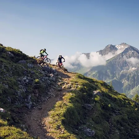 Oldwood Chalet - Alpenluxus Collection Daire *