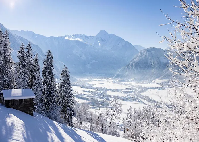 Oldwood - By Alpenluxus Collection * 菲根