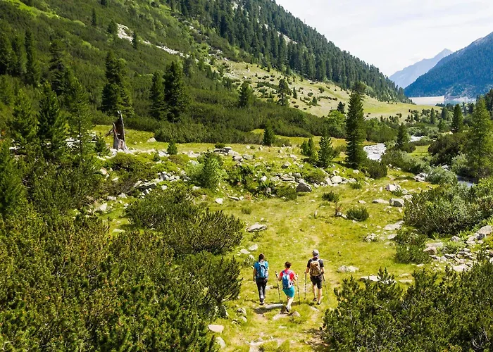 Oldwood - By Alpenluxus Collection 菲根